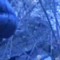 Злата из Городовиковска, ищу на сайте виртуальный секс