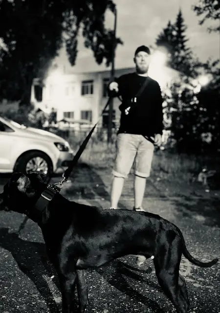 Анатолий из Великого Новгорода, ищу на сайте знакомства на одну ночь