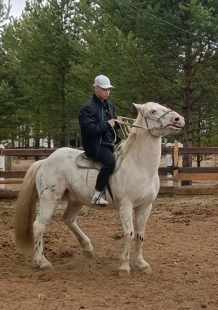 Диса из Хабаровска, ищу на сайте постоянные отношения
