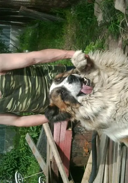 Я Алексей, 51, из Куровского, ищу знакомство для дружбы